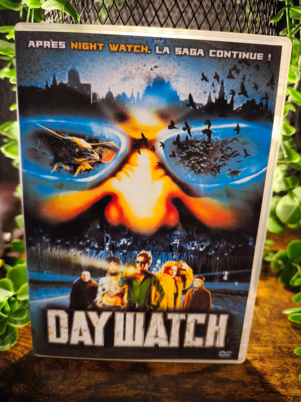 Day Watch